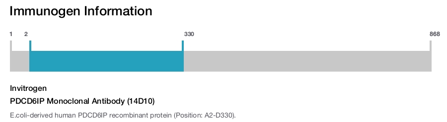 PDCD6IP Monoclonal Antibody (14D10)