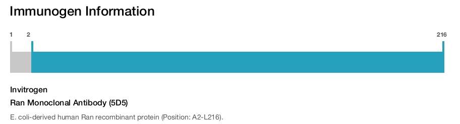 Ran Monoclonal Antibody (5D5)