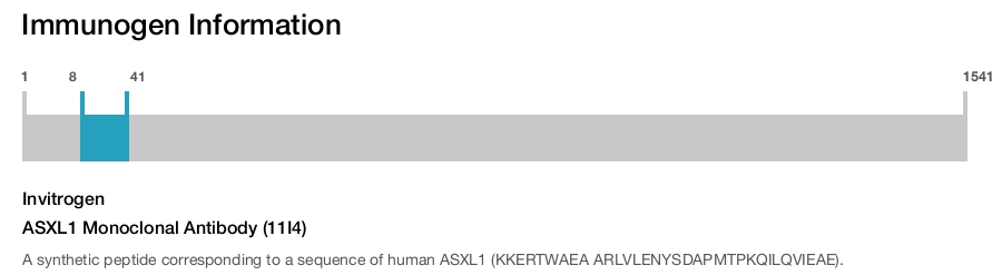 ASXL1 Monoclonal Antibody (11I4)