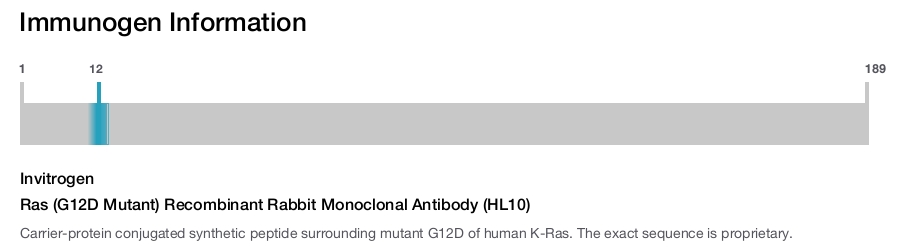 Ras (G12D Mutant) Recombinant Rabbit Monoclonal Antibody (HL10)