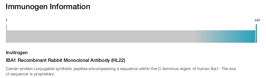 IBA1 Recombinant Rabbit Monoclonal Antibody (HL22)