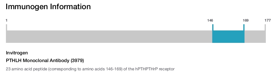 PTHLH Monoclonal Antibody (3979)