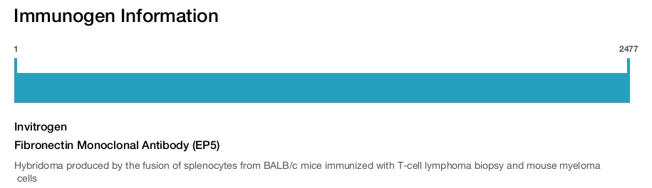 Fibronectin Monoclonal Antibody (EP5)
