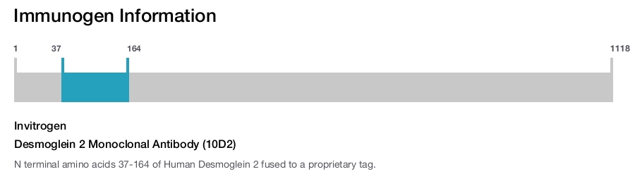 Desmoglein 2 Monoclonal Antibody (10D2)
