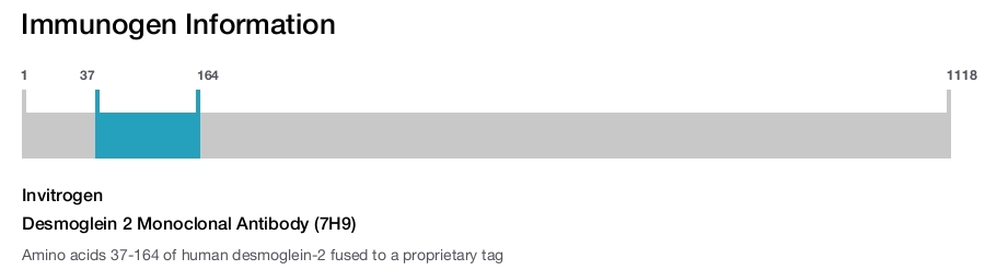 Desmoglein 2 Monoclonal Antibody (7H9)
