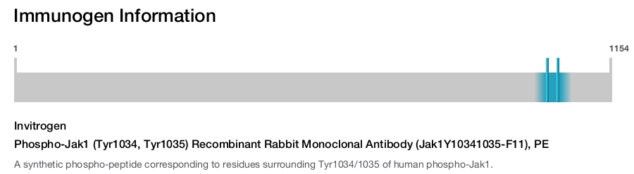 Phospho-Jak1 (Tyr1034, Tyr1035) Recombinant Rabbit Monoclonal Antibody (Jak1Y10341035-F11), PE