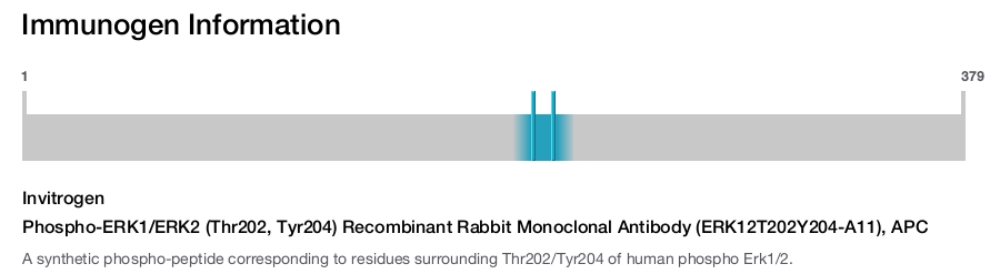 Phospho-ERK1/ERK2 (Thr202, Tyr204) Recombinant Rabbit Monoclonal Antibody (ERK12T202Y204-A11), APC
