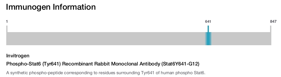 Phospho-Stat6 (Tyr641) Recombinant Rabbit Monoclonal Antibody (Stat6Y641-G12)