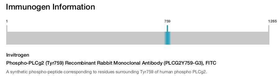 Phospho-PLCg2 (Tyr759) Recombinant Rabbit Monoclonal Antibody (PLCG2Y759-G3), FITC