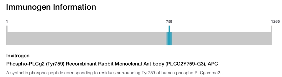 Phospho-PLCg2 (Tyr759) Recombinant Rabbit Monoclonal Antibody (PLCG2Y759-G3), APC