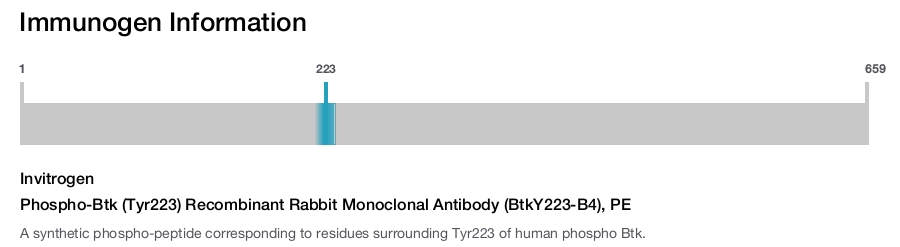 Phospho-Btk (Tyr223) Recombinant Rabbit Monoclonal Antibody (BtkY223-B4), PE