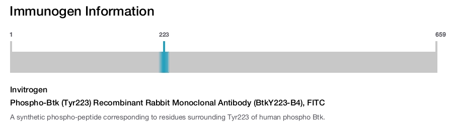 Phospho-Btk (Tyr223) Recombinant Rabbit Monoclonal Antibody (BtkY223-B4), FITC