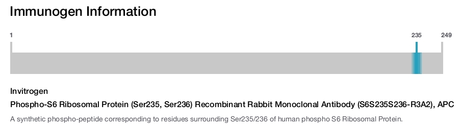 Phospho-S6 Ribosomal Protein (Ser235, Ser236) Recombinant Rabbit Monoclonal Antibody (S6S235S236-R3A2), APC