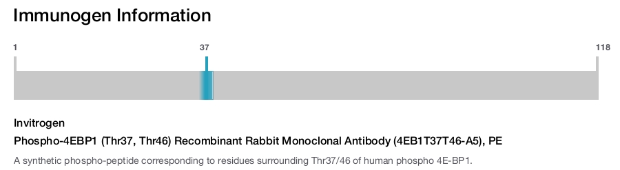 Phospho-4EBP1 (Thr37, Thr46) Recombinant Rabbit Monoclonal Antibody (4EB1T37T46-A5), PE