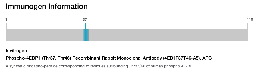 Phospho-4EBP1 (Thr37, Thr46) Recombinant Rabbit Monoclonal Antibody (4EB1T37T46-A5), APC