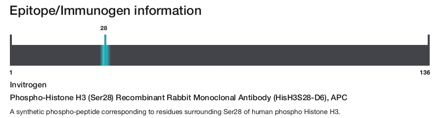 Phospho-Histone H3 (Ser28) Recombinant Rabbit Monoclonal Antibody (HisH3S28-D6), APC