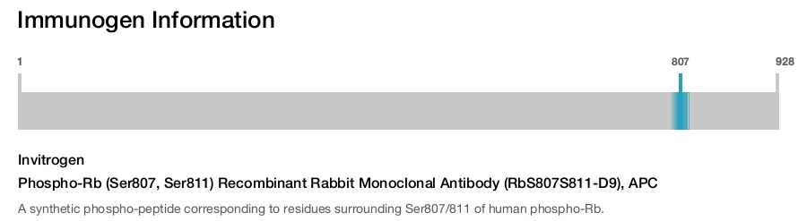 Phospho-Rb (Ser807, Ser811) Recombinant Rabbit Monoclonal Antibody (RbS807S811-D9), APC