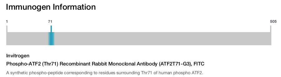 Phospho-ATF2 (Thr71) Recombinant Rabbit Monoclonal Antibody (ATF2T71-G3), FITC