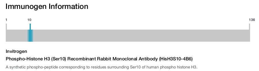 Phospho-Histone H3 (Ser10) Recombinant Rabbit Monoclonal Antibody (HisH3S10-4B6)