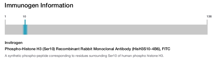 Phospho-Histone H3 (Ser10) Recombinant Rabbit Monoclonal Antibody (HisH3S10-4B6), FITC