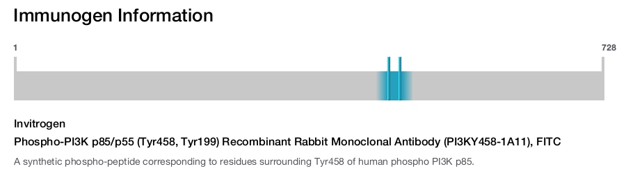 Phospho-PI3K p85/p55 (Tyr458, Tyr199) Recombinant Rabbit Monoclonal Antibody (PI3KY458-1A11), FITC