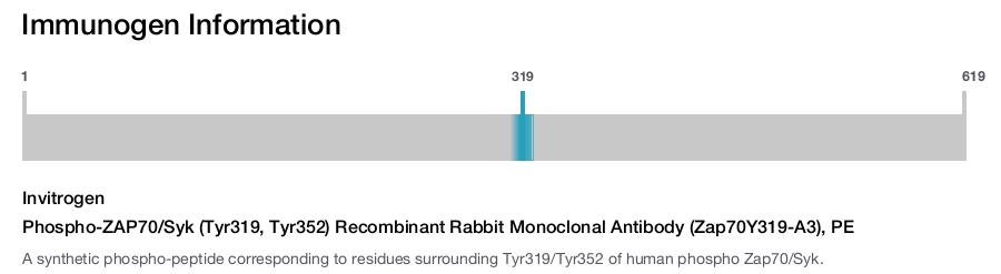 Phospho-ZAP70/Syk (Tyr319, Tyr352) Recombinant Rabbit Monoclonal Antibody (Zap70Y319-A3), PE