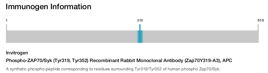 Phospho-ZAP70/Syk (Tyr319, Tyr352) Recombinant Rabbit Monoclonal Antibody (Zap70Y319-A3), APC