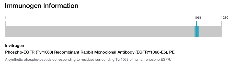 Phospho-EGFR (Tyr1068) Recombinant Rabbit Monoclonal Antibody (EGFRY1068-E5), PE