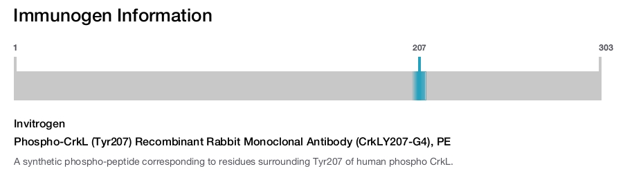 Phospho-CrkL (Tyr207) Recombinant Rabbit Monoclonal Antibody (CrkLY207-G4), PE