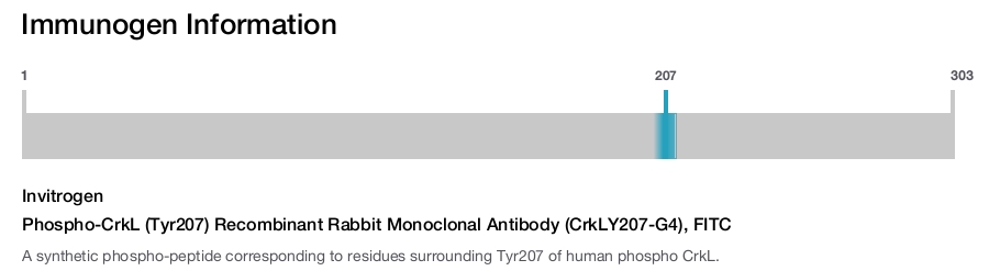 Phospho-CrkL (Tyr207) Recombinant Rabbit Monoclonal Antibody (CrkLY207-G4), FITC