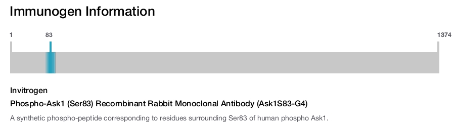 Phospho-Ask1 (Ser83) Recombinant Rabbit Monoclonal Antibody (Ask1S83-G4)