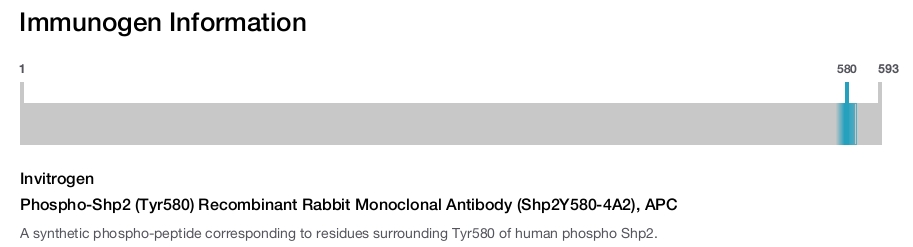 Phospho-Shp2 (Tyr580) Recombinant Rabbit Monoclonal Antibody (Shp2Y580-4A2), APC