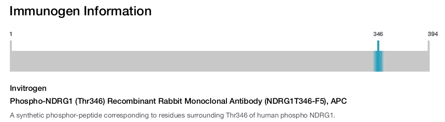Phospho-NDRG1 (Thr346) Recombinant Rabbit Monoclonal Antibody (NDRG1T346-F5), APC