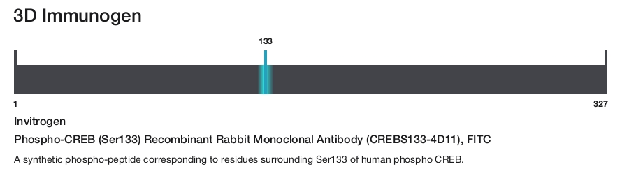 Phospho-CREB (Ser133) Recombinant Rabbit Monoclonal Antibody (CREBS133-4D11), FITC