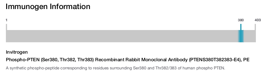 Phospho-PTEN (Ser380, Thr382, Thr383) Recombinant Rabbit Monoclonal Antibody (PTENS380T382383-E4), PE