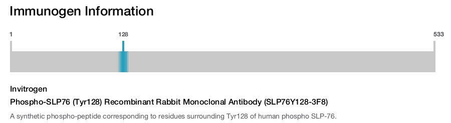 Phospho-SLP76 (Tyr128) Recombinant Rabbit Monoclonal Antibody (SLP76Y128-3F8)