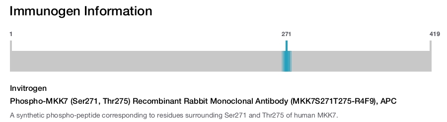 Phospho-MKK7 (Ser271, Thr275) Recombinant Rabbit Monoclonal Antibody (MKK7S271T275-R4F9), APC