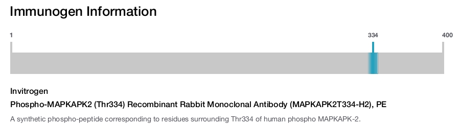 Phospho-MAPKAPK2 (Thr334) Recombinant Rabbit Monoclonal Antibody (MAPKAPK2T334-H2), PE