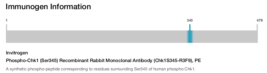 Phospho-Chk1 (Ser345) Recombinant Rabbit Monoclonal Antibody (Chk1S345-R3F9), PE