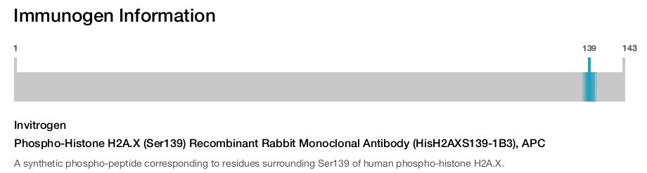 Phospho-Histone H2A.X (Ser139) Recombinant Rabbit Monoclonal Antibody (HisH2AXS139-1B3), APC