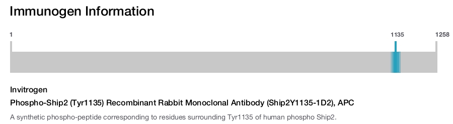 Phospho-Ship2 (Tyr1135) Recombinant Rabbit Monoclonal Antibody (Ship2Y1135-1D2), APC