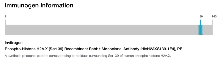 Phospho-Histone H2A.X (Ser139) Recombinant Rabbit Monoclonal Antibody (HisH2AXS139-1E4), PE