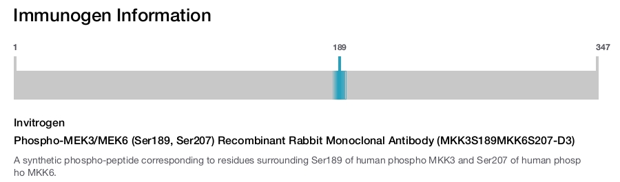 Phospho-MEK3/MEK6 (Ser189, Ser207) Recombinant Rabbit Monoclonal Antibody (MKK3S189MKK6S207-D3)