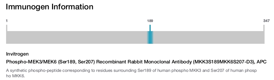 Phospho-MEK3/MEK6 (Ser189, Ser207) Recombinant Rabbit Monoclonal Antibody (MKK3S189MKK6S207-D3), APC