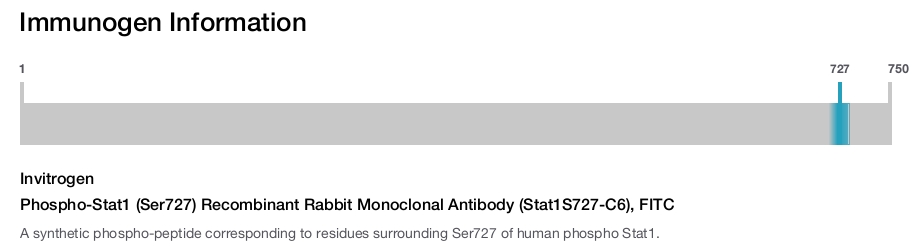 Phospho-Stat1 (Ser727) Recombinant Rabbit Monoclonal Antibody (Stat1S727-C6), FITC