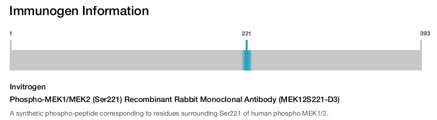 Phospho-MEK1/MEK2 (Ser221) Recombinant Rabbit Monoclonal Antibody (MEK12S221-D3)