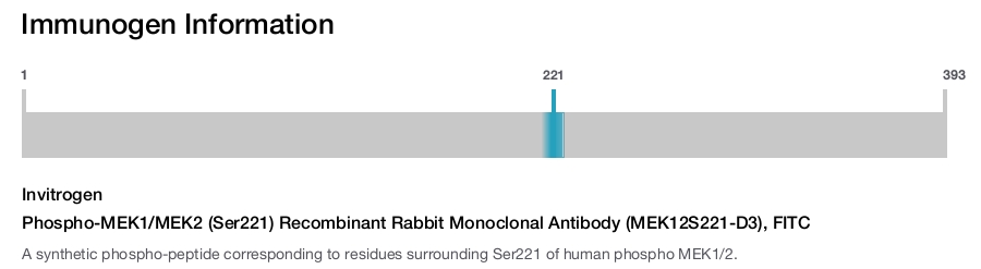 Phospho-MEK1/MEK2 (Ser221) Recombinant Rabbit Monoclonal Antibody (MEK12S221-D3), FITC