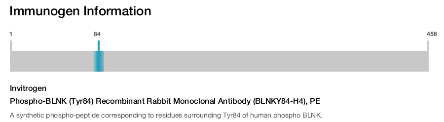 Phospho-BLNK (Tyr84) Recombinant Rabbit Monoclonal Antibody (BLNKY84-H4), PE
