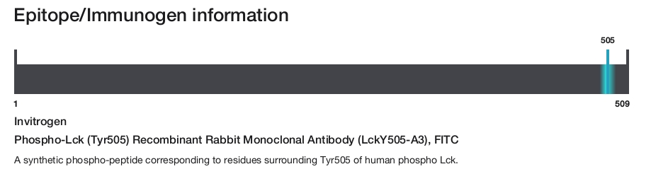 Phospho-Lck (Tyr505) Recombinant Rabbit Monoclonal Antibody (LckY505-A3), FITC