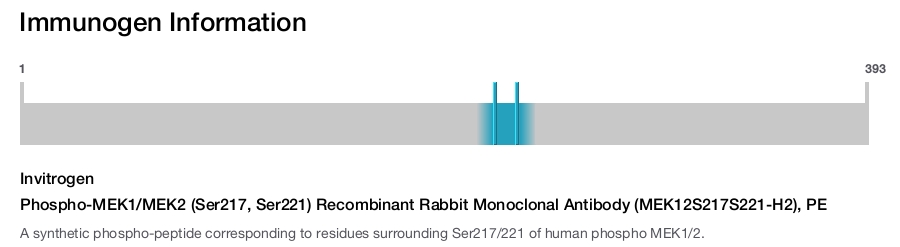 Phospho-MEK1/MEK2 (Ser217, Ser221) Recombinant Rabbit Monoclonal Antibody (MEK12S217S221-H2), PE